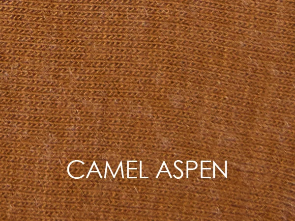 CAMEL ASPEN